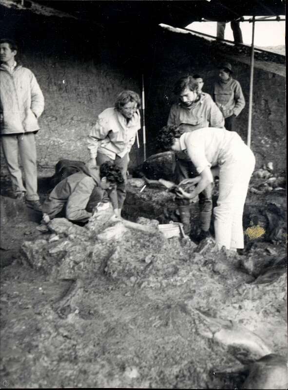 19640000 AVELEY-Edit