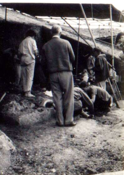 19640801c AVELEY 01 General View-Edit