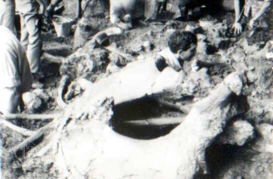 19640801c AVELEY 08-Edit