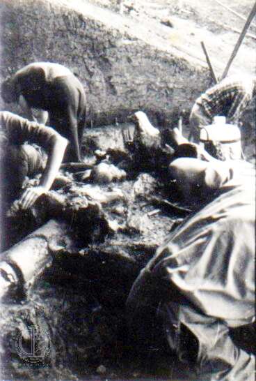 19640801c AVELEY 11-Edit