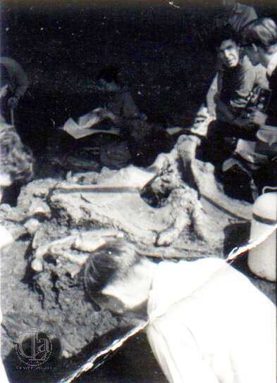 19640801c AVELEY 13-Edit