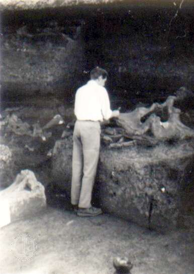 19640801c AVELEY 16-Edit