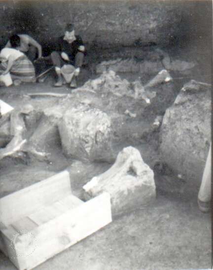 19640801c AVELEY 17-Edit