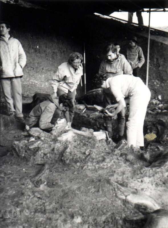 19640801c AVELEY-Edit