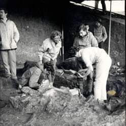 19640000 AVELEY-Edit