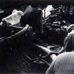 19640801c AVELEY 05-Edit