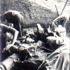 19640801c AVELEY 11-Edit