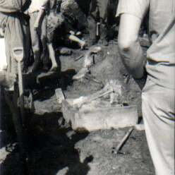 19640801c AVELEY 15-Edit