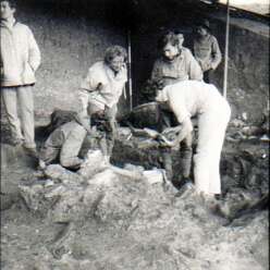 19640801c AVELEY 22-Edit