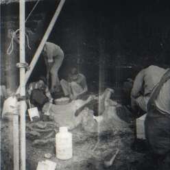 19640801c AVELEY Joyce Collard Centre