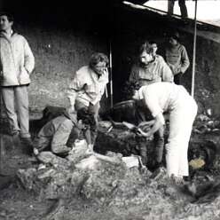 19640801c AVELEY-Edit