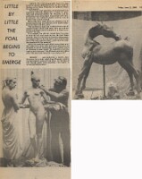 19800613 ENZO PLAZZOTTA FOAL EMERGES CN