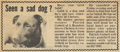 19800912 PATRICK CORBETT LOST DOG CN