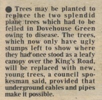 19810206 DOVEHOUSE GREEN TREES REPLACED CN