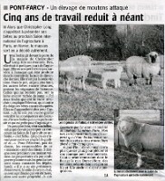 20071221 SHEEP WORRYING LVLB